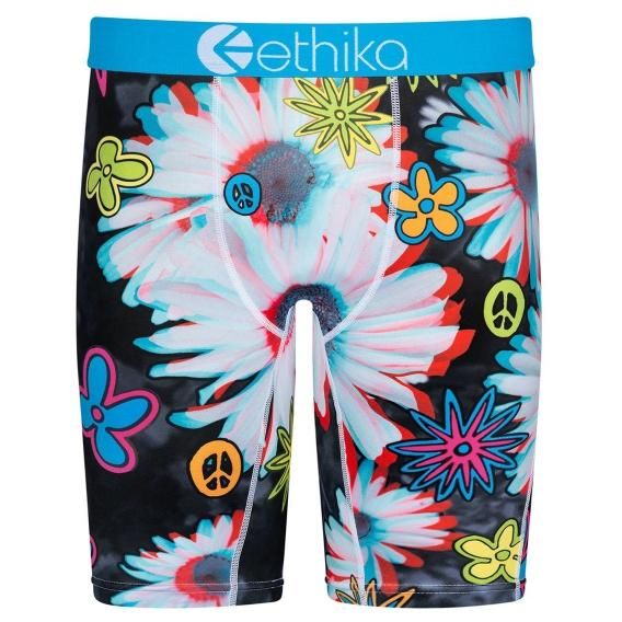 DE LA ETHIKA 3D (ɥ鎥)