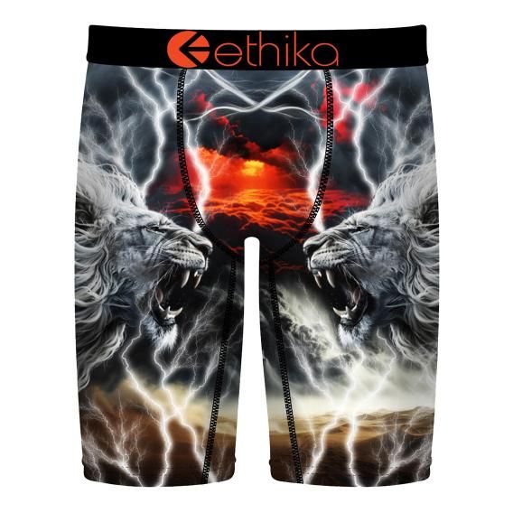  LION STRIKE (饤󡦥ȥ饤)