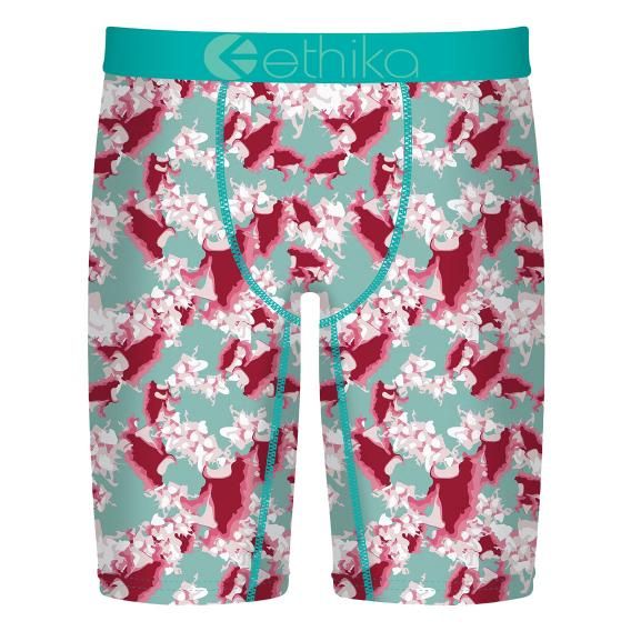  IN BLOOM (󡦥֥롼)