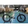 DURCUS ONE / MOTO V2 -SAGE GREEN-  ȥ꡼ BMX 