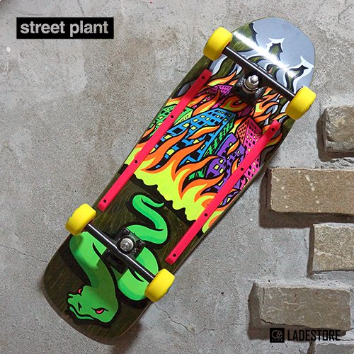 ■ Street Plant ■ 