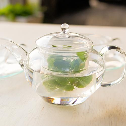 茶漉し付きティーポット - バラの紅茶＆フレーバーティー専門店