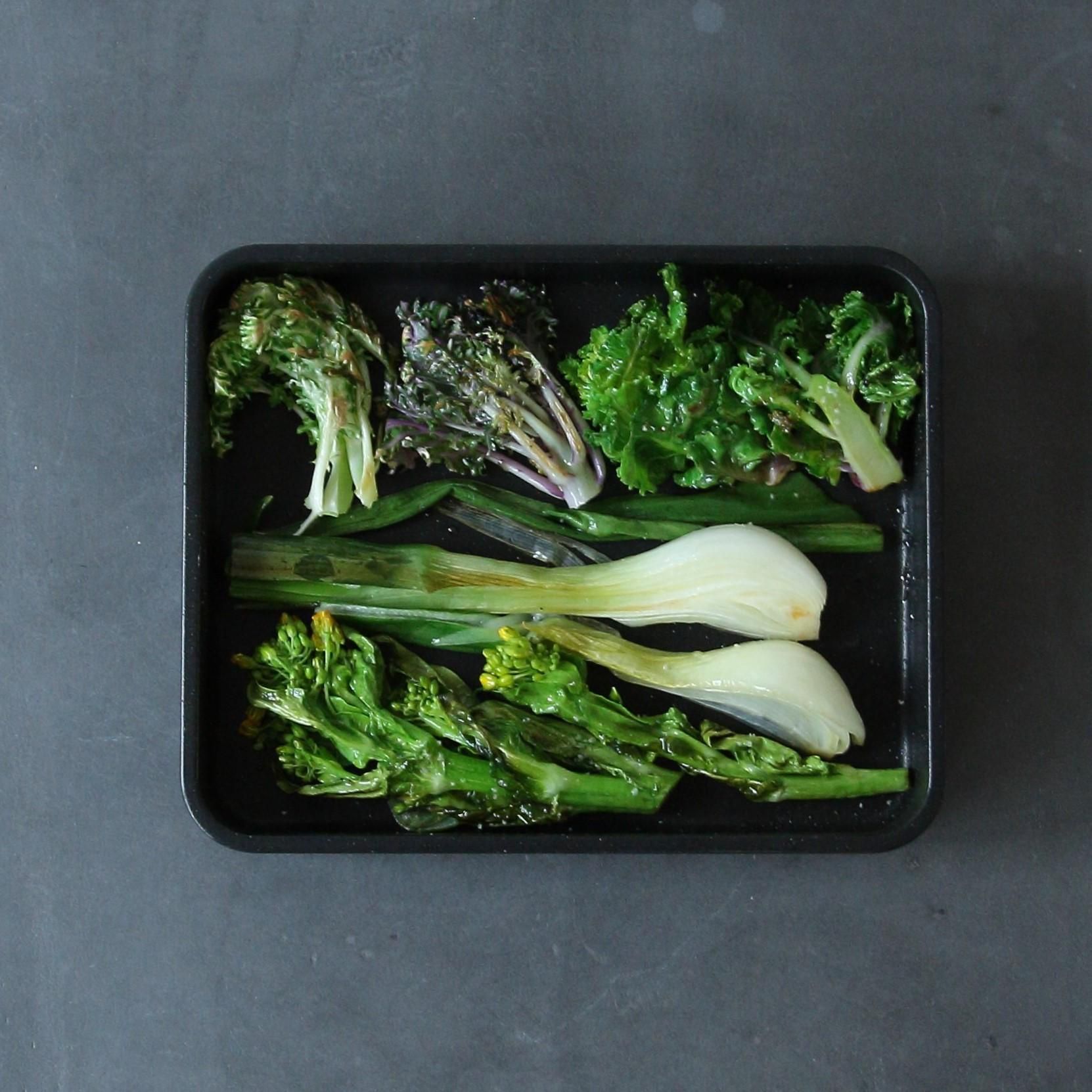 巨大黄色品種4種セット 1m苗 jin ao fen GRS cda イチジク 巨大黄色