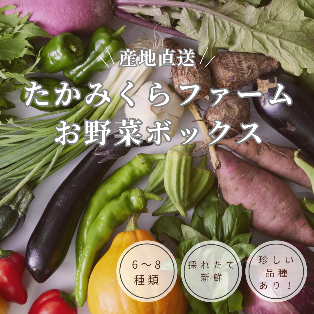 ڥƥȡ ߤեࡡڥܥå<img class='new_mark_img2' src='https://img.shop-pro.jp/img/new/icons56.gif' style='border:none;display:inline;margin:0px;padding:0px;width:auto;' />