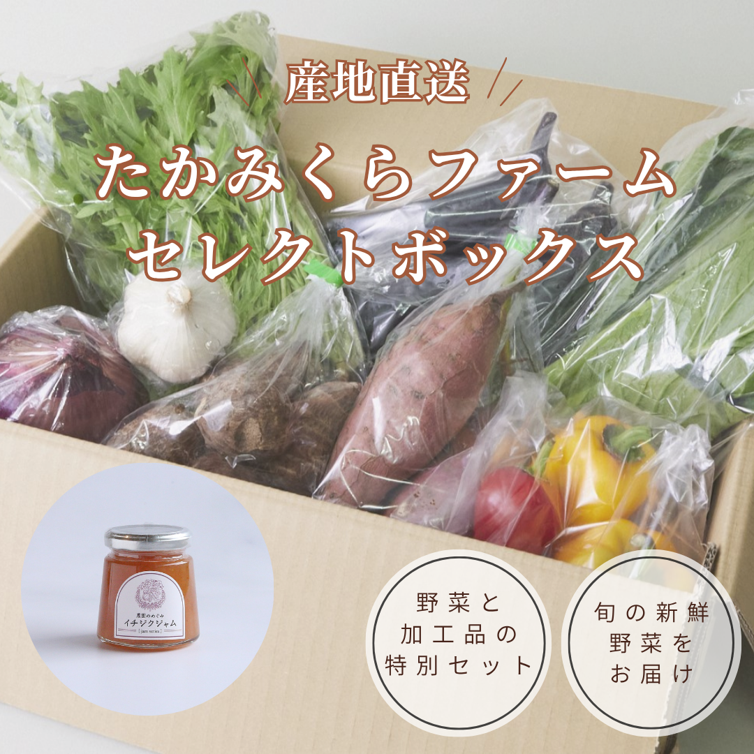ڥƥȡ ߤե  쥯ȥܥå<img class='new_mark_img2' src='https://img.shop-pro.jp/img/new/icons8.gif' style='border:none;display:inline;margin:0px;padding:0px;width:auto;' />
