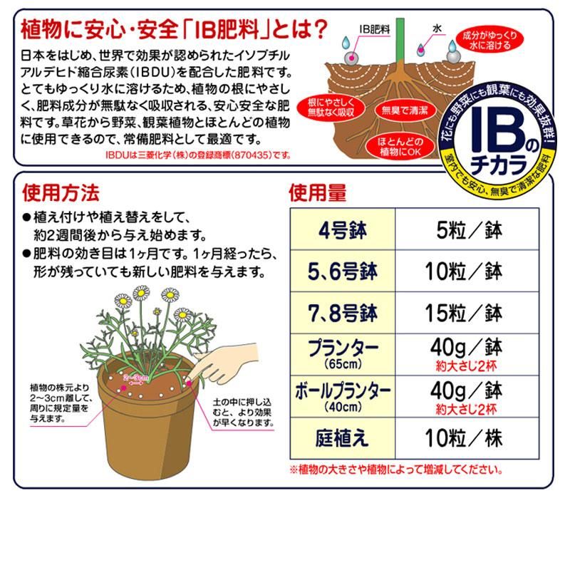 花ごころ グリーンそだちex 500g 緩効性肥料 カントリーショップ ジュリアン