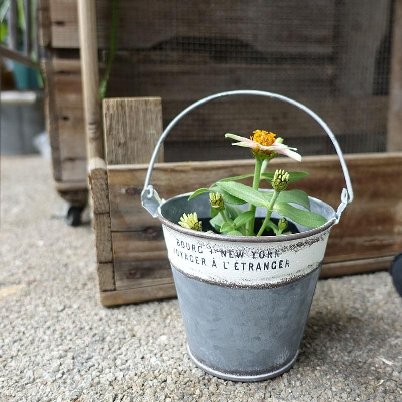 L3501-20-2 英国アンティーク ブリキ バケツ 鉢 ポット ポットカバー L3501-20-2 英国アンティーク ブリキ バケツ 鉢 ポット ポットカバー