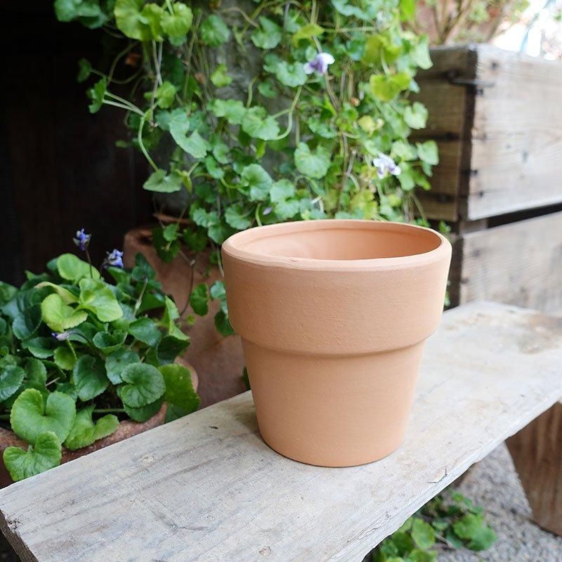 Amazon.co.jp: OUNONA 植木鉢 陶器 素焼き鉢 鉢植え テラコッタ 鉢 多肉植物 サボテン 10個セット 室内 底穴あり 観葉植物  フラワーポット 小型 diy 円筒形 園芸用品 ギフト : DIY・工具・ガーデン