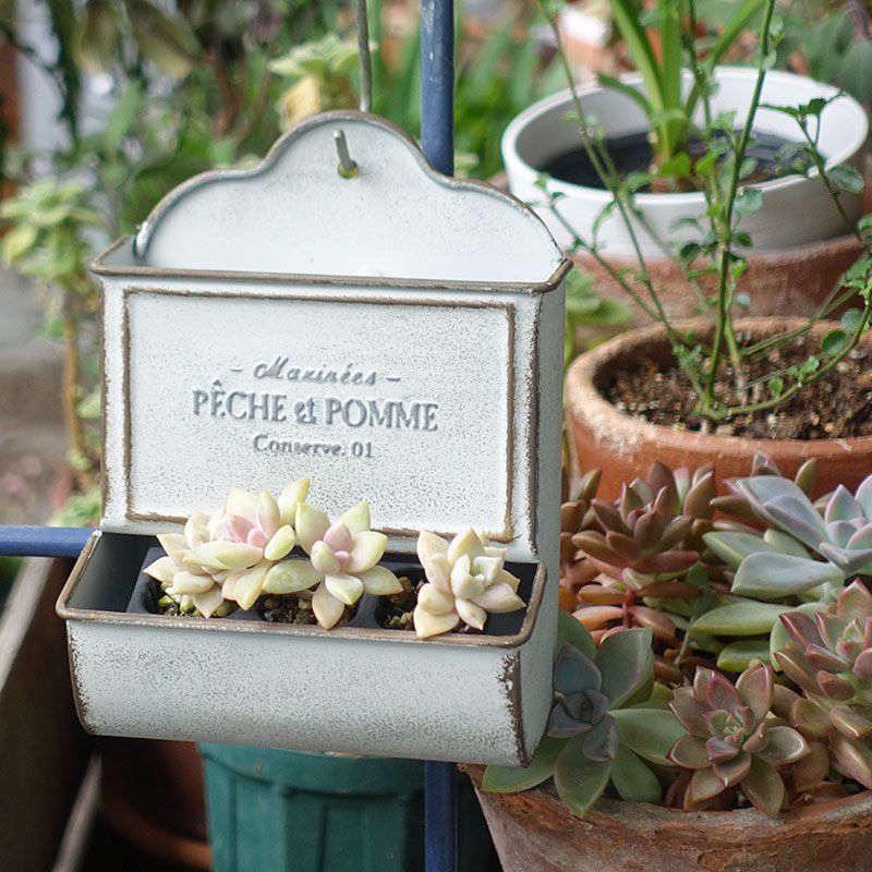 ブリキ鉢 ホワイト 植木鉢 ドラム 多肉植物 ガーデニング ガーデニング用品 寄せ植え 園芸 園芸雑貨 鉢