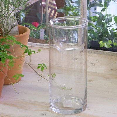シリンダーベース フラワーベース 花瓶 ガラス ダブルインサート 高さ21cm - カントリーショップ ジュリアン