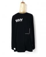 ͽʡavis / WHY SCREEN WIDE L-SLEEVE TEE / 3ȯͽ  /  21ǯ 1/10  