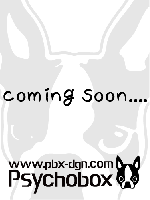 prasthana / chillbuster ecw parka / BLACK