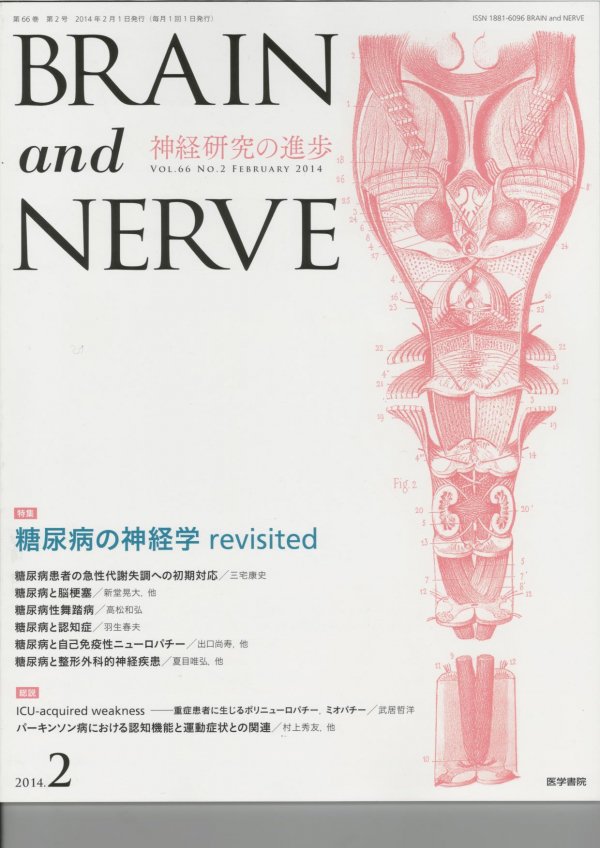 No.2　糖尿病の神経学　BRAIN　(2014)　and　NERVE　Vol.66　revisited
