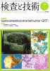 ȵ Vol.41 No.7 (2013) Gastrointestinal stromal tumorGIST