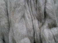 Possum Merino/ݥåࡡΡեС