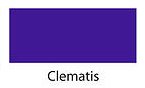 CLEMATIS 100g