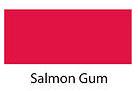 SALMON GUM 100g