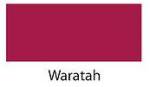 WARATAH 100g