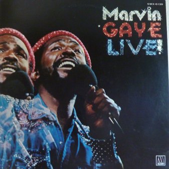marvin gaye anthology vinyl value