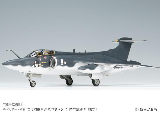 48_Buccaneer
