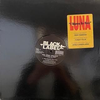 手品　絶版洋書「John Cornelius」 THE LUNA PROJECT - I WANNA BE FREE - 12