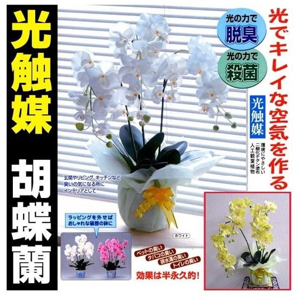 ノベルティ 販促品 粗品 景品用としてオススメな光触媒 胡蝶蘭 ホワイトです ノベルティ 販促品 粗品 景品用としてオススメな光触媒 胡蝶蘭 ホワイトです