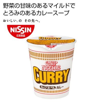 ノベルティ、販促品、粗品、景品用としてオススメな日清食品 カップ