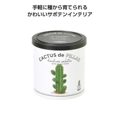 ノベルティ、販促品、粗品、景品用としてオススメなカクタスｄｅカクタス 柱サボテンです。