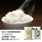 ノベルティ・粗品で人気の「 雪蔵仕込み　厳選米食べ比べ」