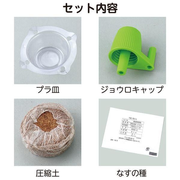 【非売品多数】 なめこ 栽培キット グッズ ノベルティ まとめ売り ノベルティ、販促品、粗品、景品用としてオススメなお家で楽しく