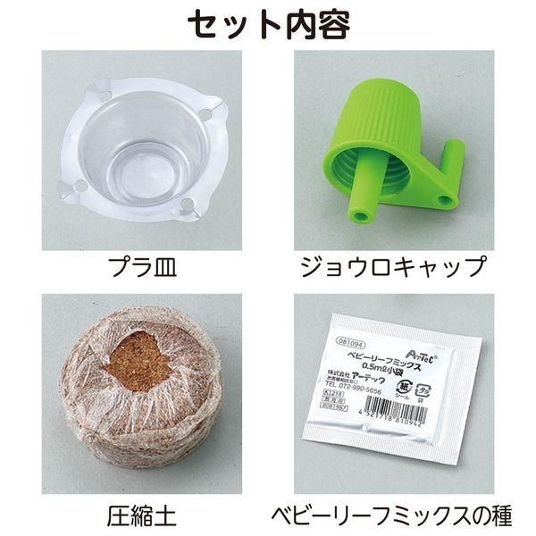 【非売品多数】 なめこ 栽培キット グッズ ノベルティ まとめ売り 非売品多数】 なめこ 栽培キット グッズ ノベルティ まとめ売り