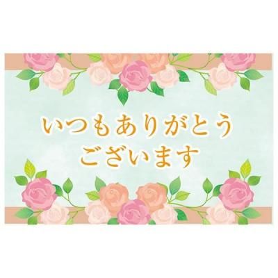 Υ٥ƥʤǿ͵Ρ եȥɡǥߡۡ