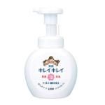 ノベルティ・粗品で人気の「 【国産】キレイキレイ 薬用泡ハンドソープ250ml」