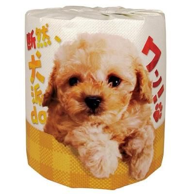 Υ٥ƥʤǿ͵Ρ ڹ񻺡ɣ󡪡