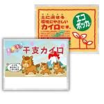 Υ٥ƥʤǿ͵Ρ 񻺥쥮顼Žʤסˡ