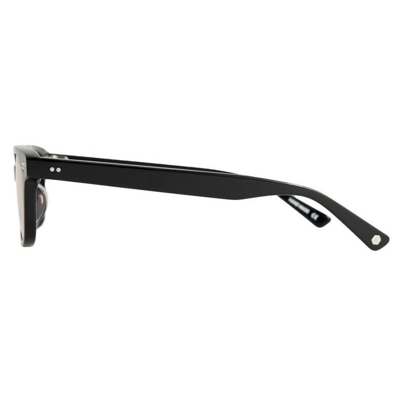 BLACKFLYS / FLY SLAMMER / BLACK x LIGHT BROWN PHOTOCHROMIC