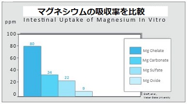 マグネシウムの吸収率を比較したグラフ