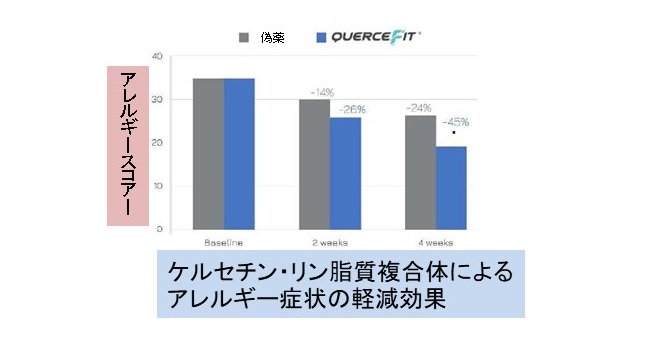 륻Υ륮ڸ