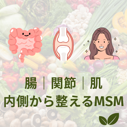 MSMǽ᡼