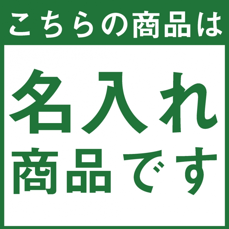 早割 2024年 令和6年 年賀状印刷 100枚セット 年賀 ハガキ はがきの