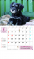 2023ǯ 5ǯ ̾  MY DOGs 100åsa-111