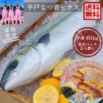 平戸なつ香ヒラス半身(約1kg)真空パック・あら無し (長崎県平戸産養殖) 【送料無料】【熨斗対応可】