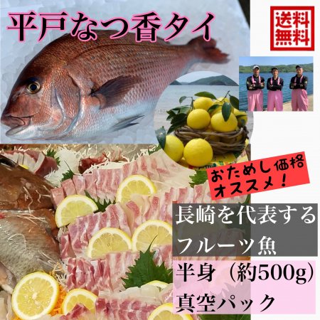 平戸なつ香タイ半身(約500g)真空パック・あら無し （長崎県平戸産養殖）送料無料 - 平戸とれたてお魚市場