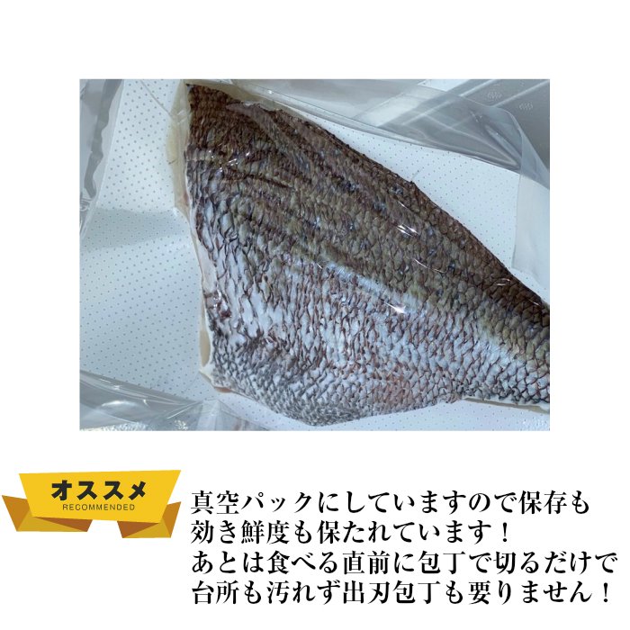 平戸なつ香タイ半身(約500g)真空パック・あら無し （長崎県平戸産養殖）送料無料 - 平戸とれたてお魚市場