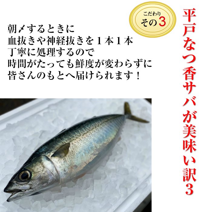 平戸なつ香サバ500g×8尾（長崎県平戸産養殖） 【送料無料】 【熨斗対応可】 青空レストラン に出た フルーツ魚 - 平戸とれたてお魚市場