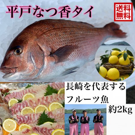 平戸なつ香タイ 2kg 長崎県平戸沖養殖 送料無料 平戸とれたてお魚市場