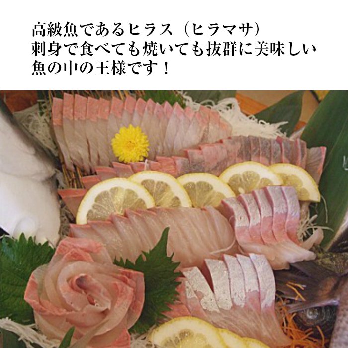 平戸なつ香ヒラス 4kg 長崎県平戸沖養殖 送料無料 平戸とれたてお魚市場