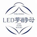 LED̴