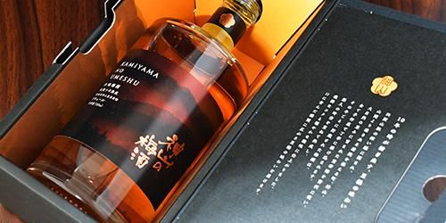 高価値セリー 数量限定>神山の梅酒 長期10年熟成原酒(化粧箱入り) - 日新 梅酒