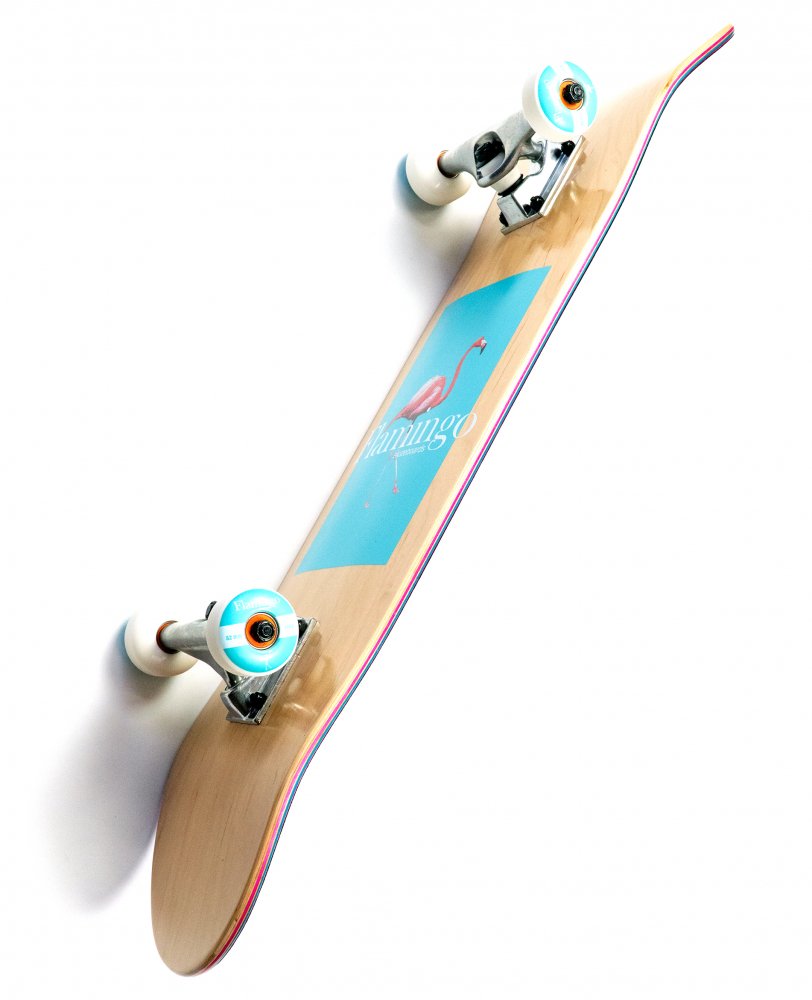 Flamingo Skateboards 7.875 コンプリートデッキ | tradexautomotive.com